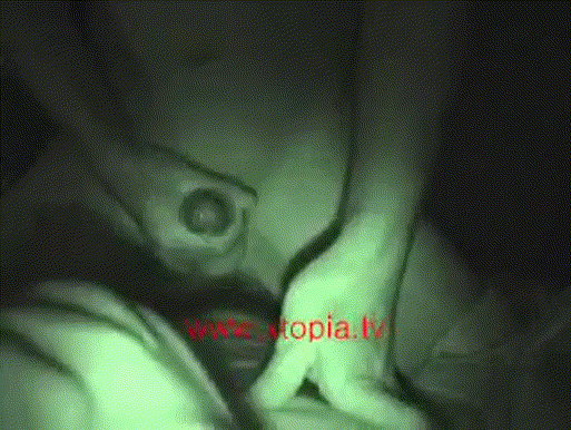 고전자료_부부 회원 스와핑-항문섹스 (셀프) 미리보기 4