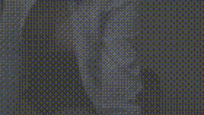 DVD방_엉덩이에 점있는 육덕얼공녀 [밝기조절용] 미리보기 3