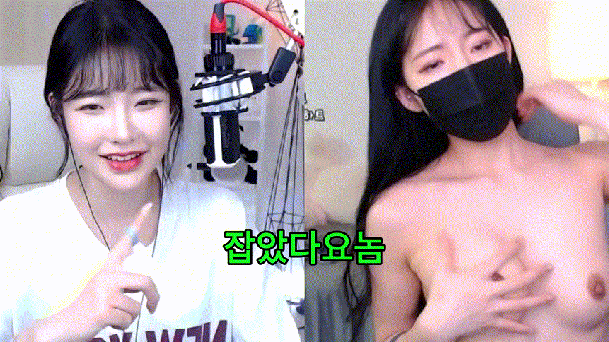 하피 (sfsfd532) 잡았다요놈 미리보기 2