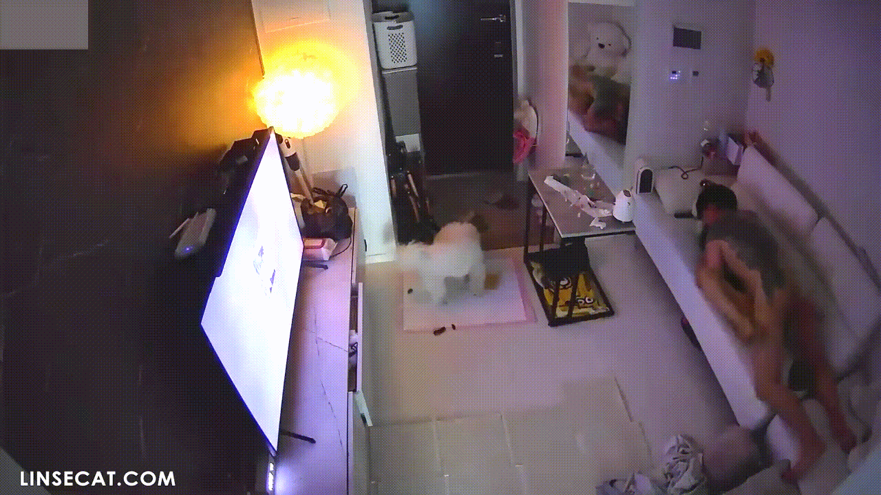 신작IP ✨ 타투커플 쇼파섹스 3번 [4시간]/끝나고 난뒤 또 자위녀 미리보기 3