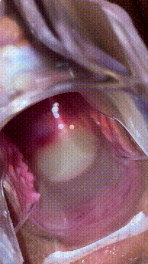 한체대 복근걸레녀 [풀팩] 11V.9P 미리보기 6