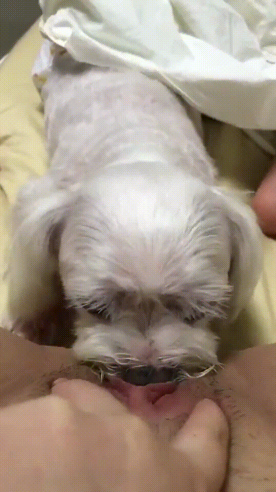 인스타/밴드 라방 ★ 개보빨녀 37_6al[여름] 4V 미리보기 4