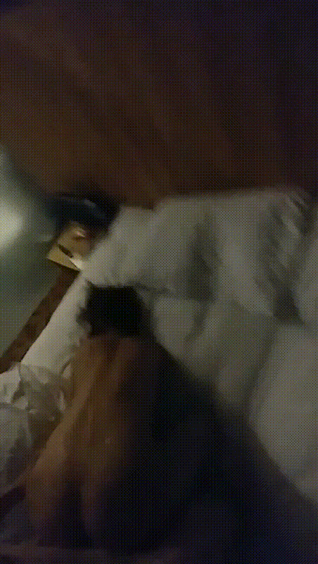 몸매 좋은 태닝골뱅이 2V 미리보기 3