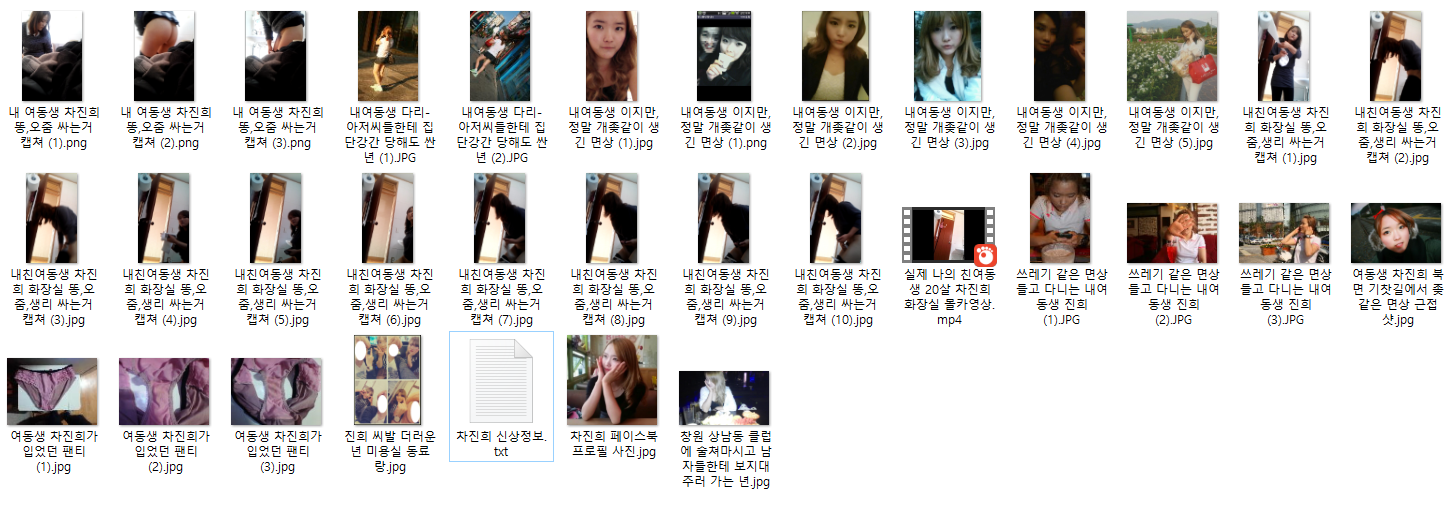 일베충 친여동생 차진희 [여동생 화장실 몰카충] 1V.32P 미리보기 3