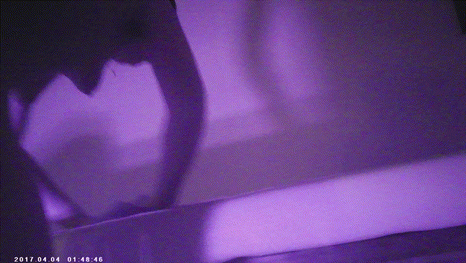 똥까시 물바디 스웨디시 [얼공] 미리보기 5