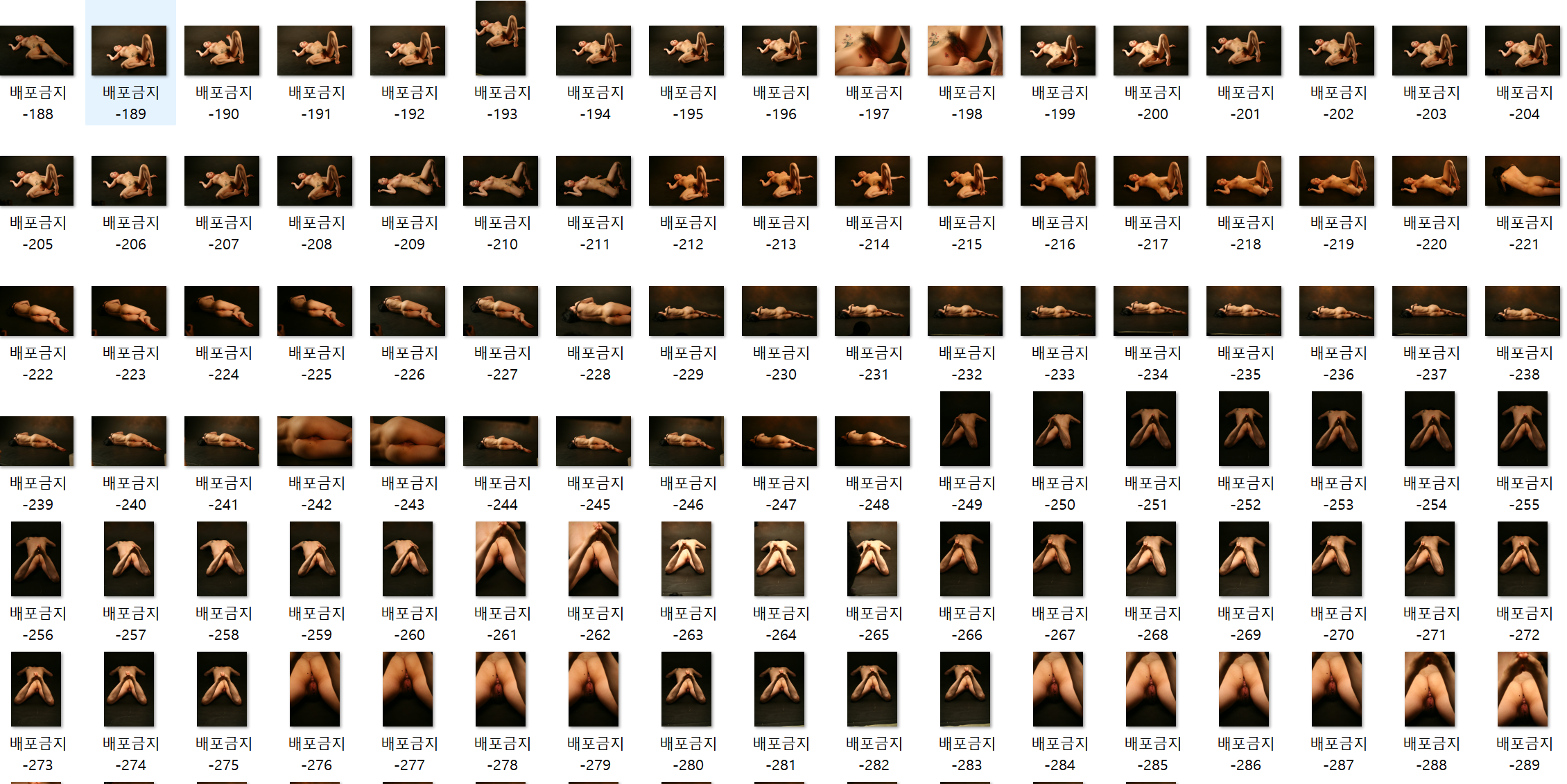 ✨하리 1,136P / 3.72GB✨ 미리보기 6