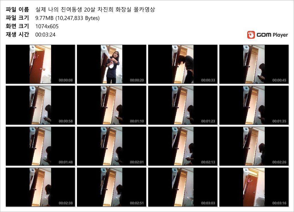 일베충 친여동생 차진희 [여동생 화장실 몰카충] 1V.32P 미리보기 7