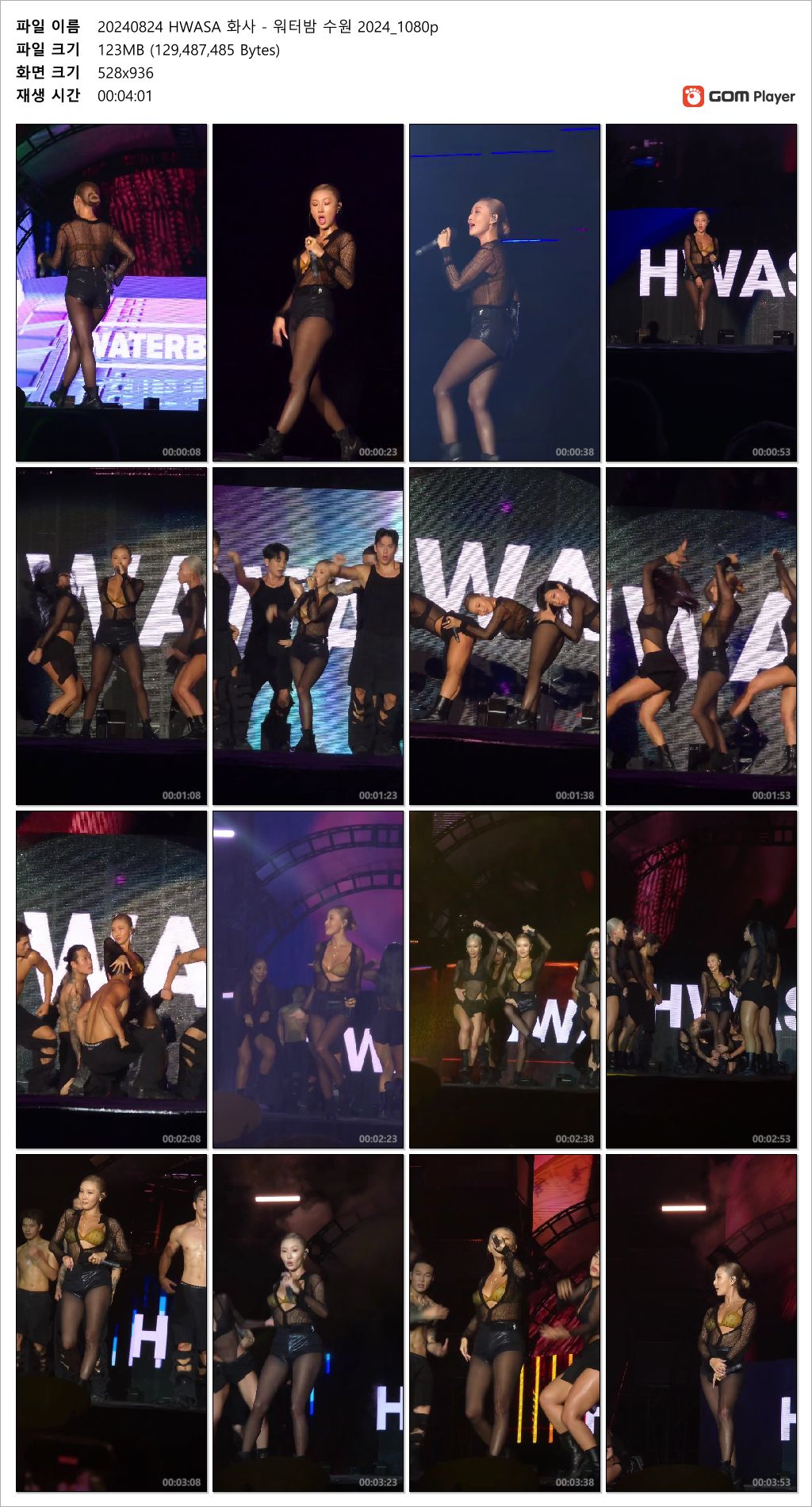 화사 ★ 수원 워터밤 [꼭지노출] 미리보기 3