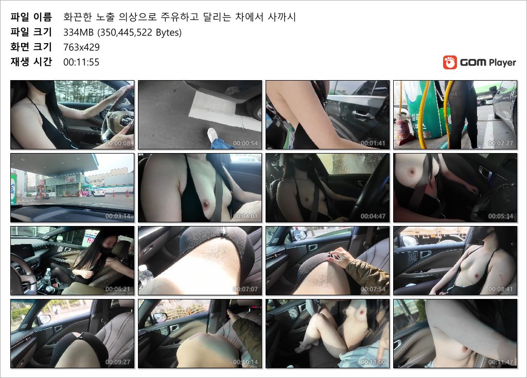 화끈한 노출 의상으로 주유하고 달리는 차에서 사까시 미리보기 17