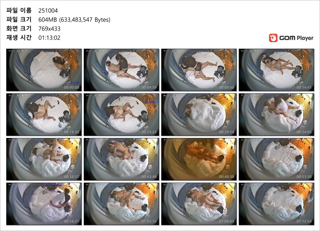 25년 신작 : 모텔몰카 최신작_존예/취향/코스프레.하이힐 페티쉬커플들 4V 미리보기 18