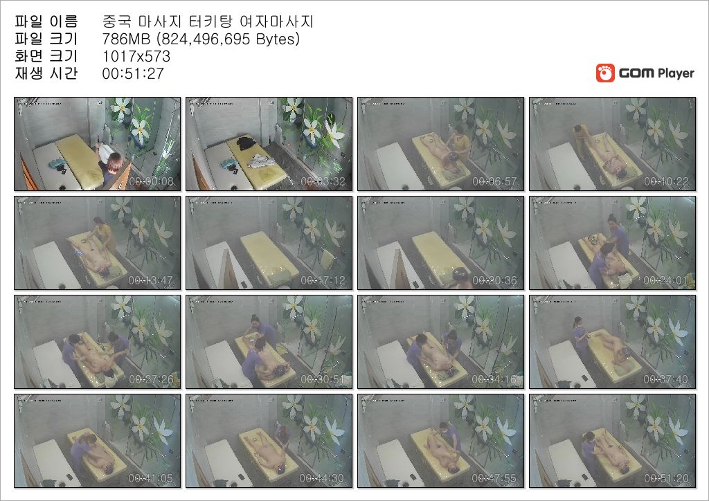 1인 중국 목욕마사지 IP 미리보기 9