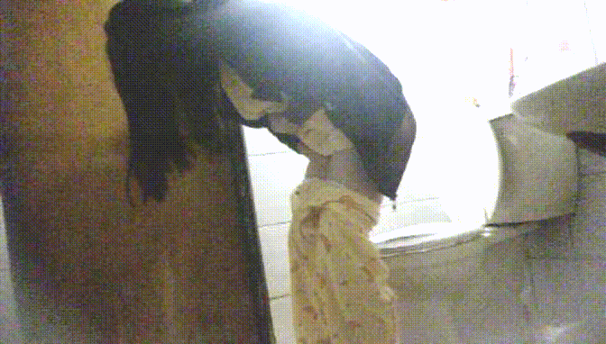 ✨가정집 자매 [미사/미진] 욕실바닥 10V 미리보기 17