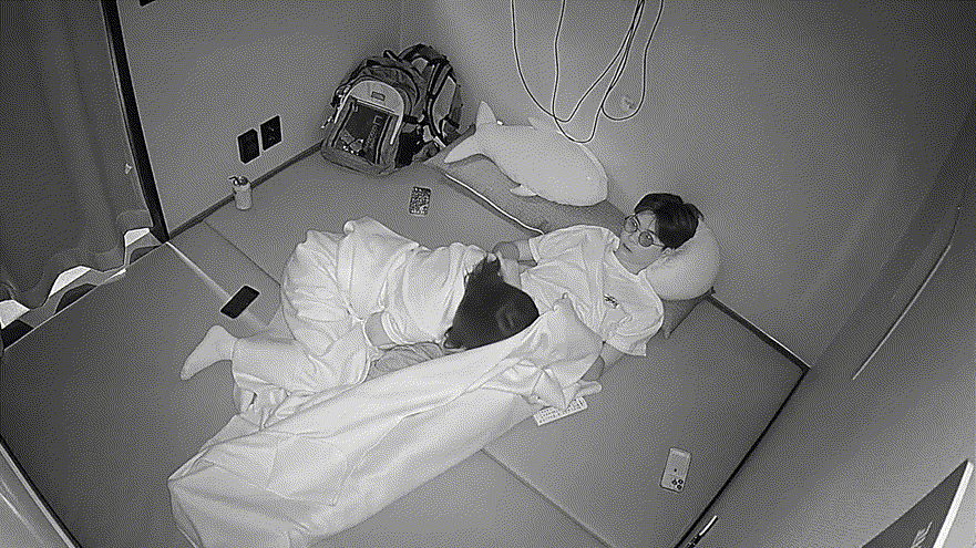 IP신작 ✨룸까페 기념일 축하 어린커플 미리보기 6