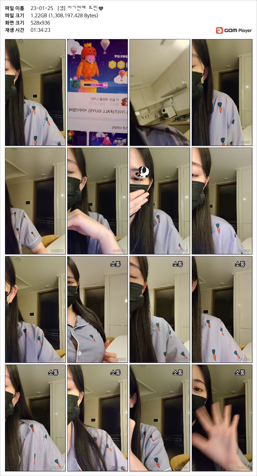 효린_자기전/안녕효린 거유노출방송 2V 미리보기 11