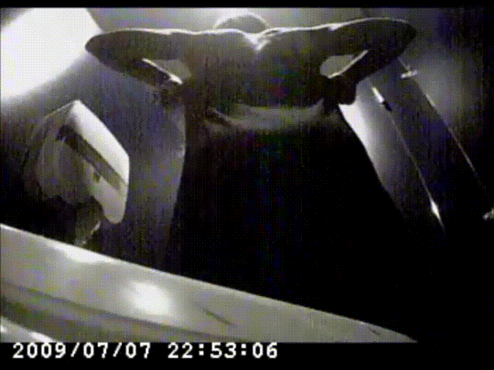 ✨화장실잠복 : 고전레젼드 근성대딩 5V 100명이상 [흑인녀포함] 미리보기 32