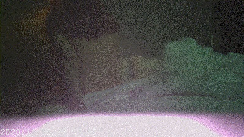 신작 ✨ 12만원 원샷 : 육덕조건녀 1/2 미리보기 5