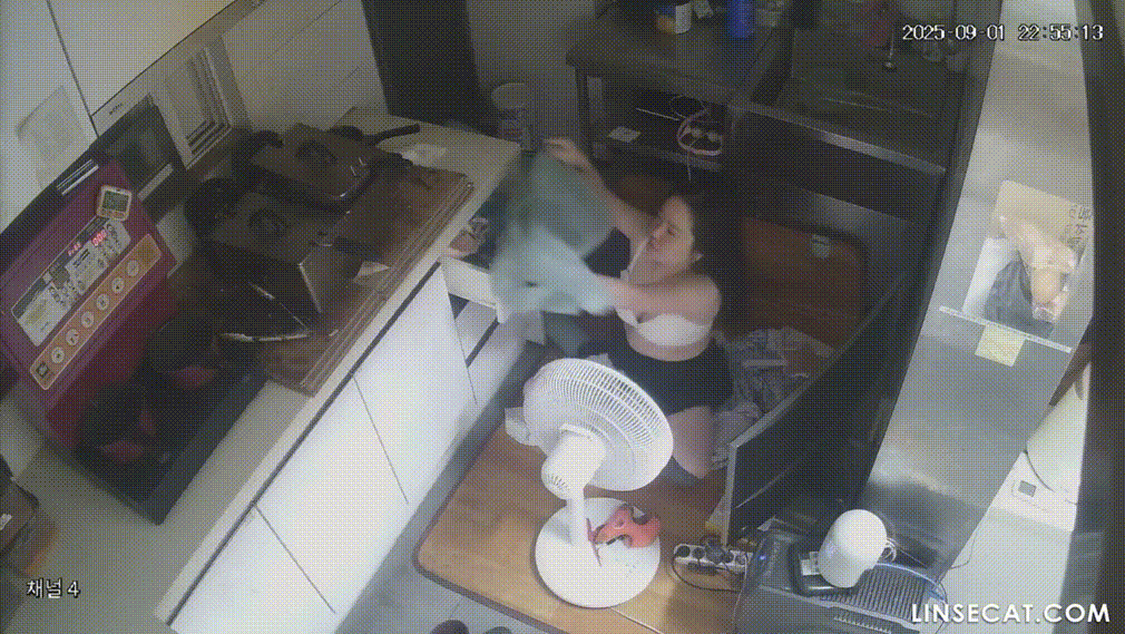 IP신작 ✨ 커피숖 가슴큰 여사장 : 싱크대에서 오줌누고~머리 감고~ 미리보기 13