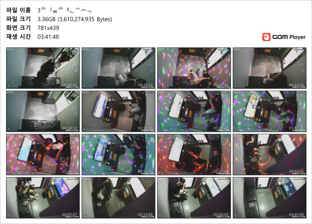 신작IP ✨25.07.13/14.13 연속 3일 거유파이즈리.대딸커플 미리보기 15