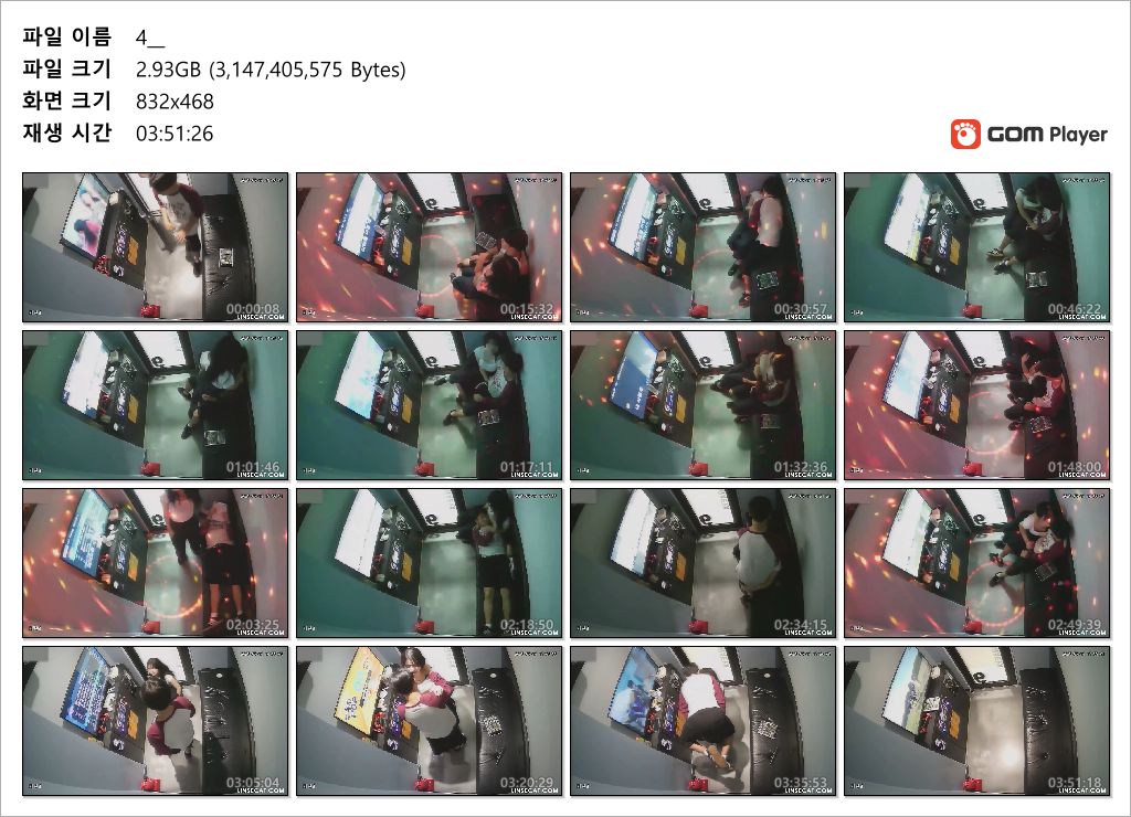 신작IP ✨ 커플 25.07.12 거유파이즈리/대딸 미리보기 14