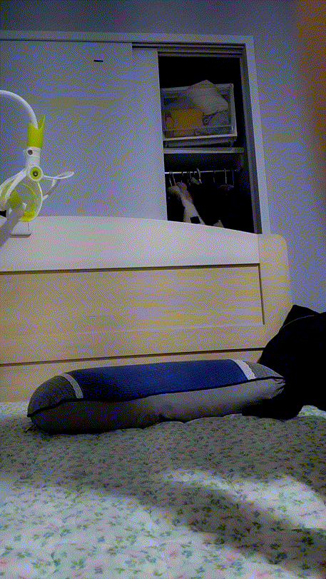 떡순이 ☆ 올노출 팬방 [보지털 공개 후 정지] 미리보기 3