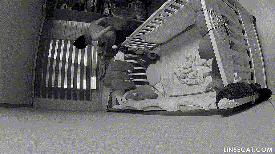 IP신작 ✨ 가정집 해킹 [부부섹스/탈의/자위/임산부] 미리보기 12