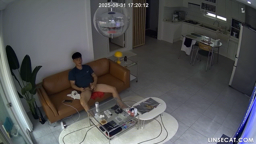 IP신작 ✨ 가정집 해킹 [부부섹스/탈의/자위/임산부] 미리보기 27