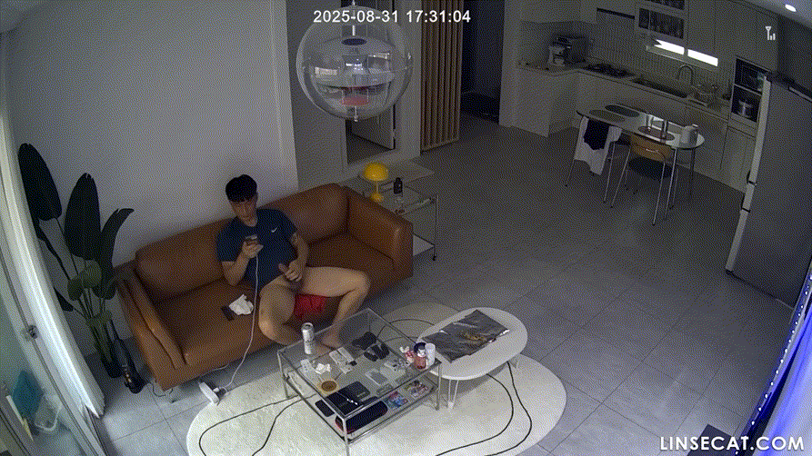 IP신작 ✨ 가정집 해킹 [부부섹스/탈의/자위/임산부] 미리보기 28