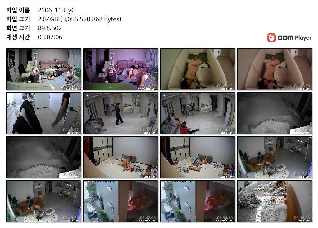 IP신작 ✨ 가정집 해킹 [부부섹스/탈의/자위/임산부] 미리보기 32