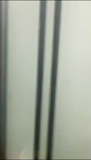 혼돈의 카오스ㅋ [5탄] ☆ 255V [야외노출/소변/야외섹스 등] ㅋㅋㅋ시리즈 미리보기 16