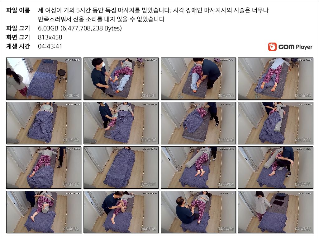 IP신작 ✨ 시각장애인 마사지사 [소리有] 4시간43분_6.03G 미리보기 7