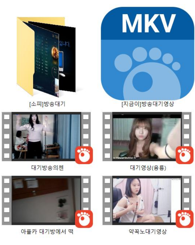 아프리카 방종.대기방 노출 [떡방포함] 레젼드14V 미리보기 15