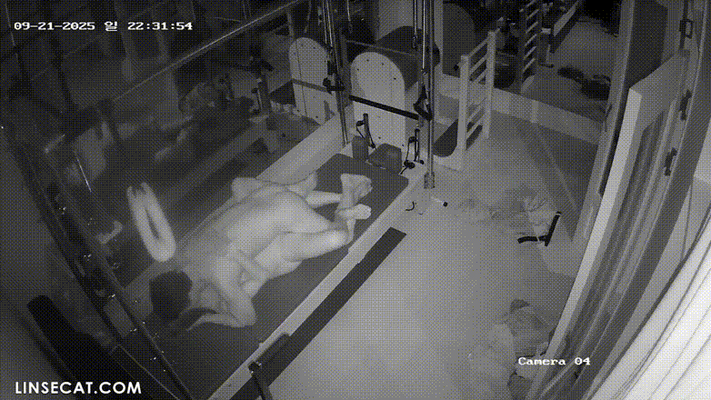 IP신작 ✨ 필라테스.로프강습강사 [2탄] 다른날 미리보기 3