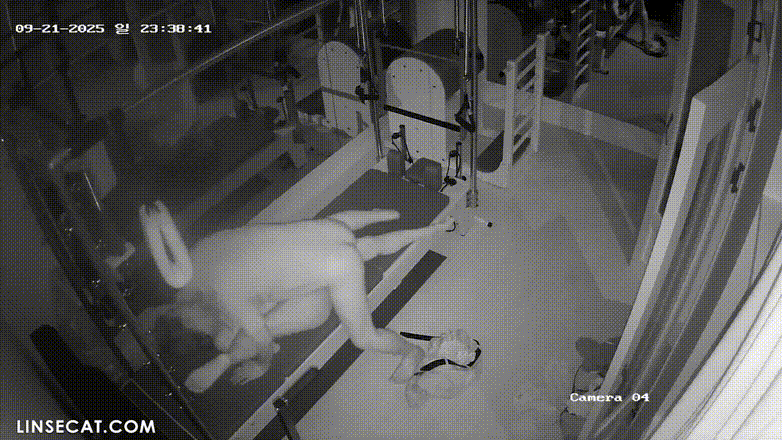 IP신작 ✨ 필라테스.로프강습강사 [2탄] 다른날 미리보기 6