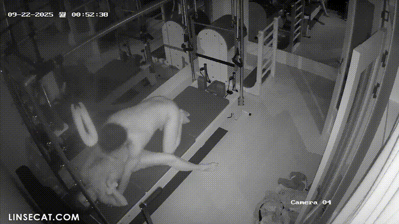 IP신작 ✨ 필라테스.로프강습강사 [2탄] 다른날 미리보기 9