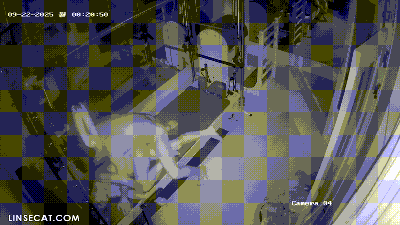 IP신작 ✨ 필라테스.로프강습강사 [2탄] 다른날 미리보기 11