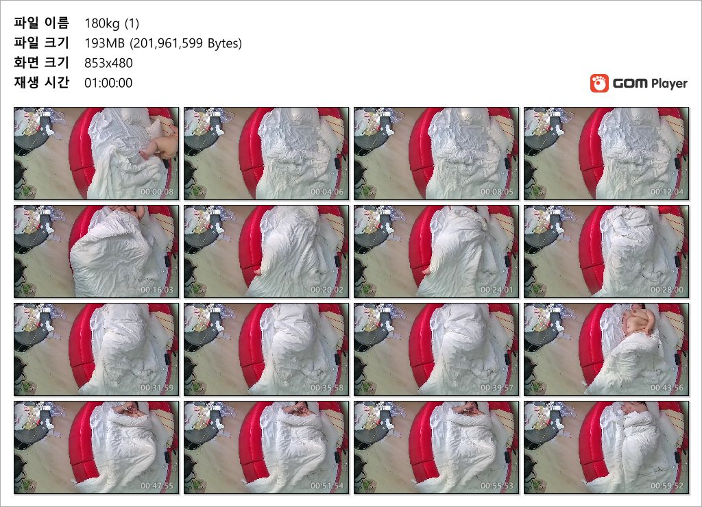 호텔몰카_❤️180kg❤️ 뚱녀와 섹스 3V 미리보기 12