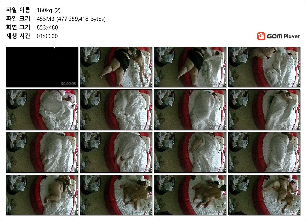 호텔몰카_❤️180kg❤️ 뚱녀와 섹스 3V 미리보기 13