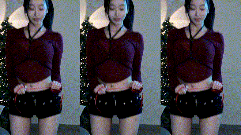 하니니_24.12.22 하네스 미리보기 2