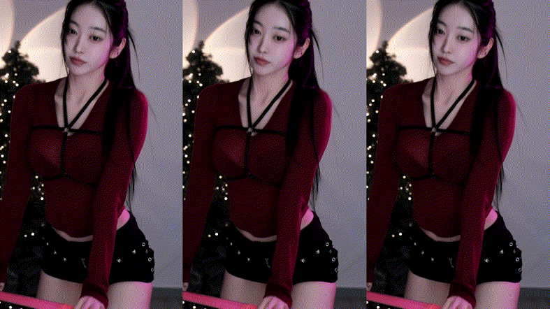 하니니_24.12.22 하네스 미리보기 3