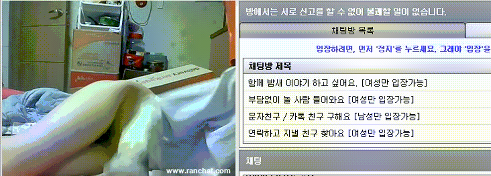 렌덤쳇 BEST ★ 걸레꿈나무 : 존예 강아지녀 미리보기 4