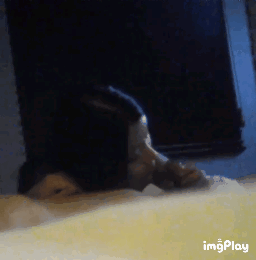 ✨초존예 타투 조건녀✨1V+짤추가 [얼공] 미리보기 6