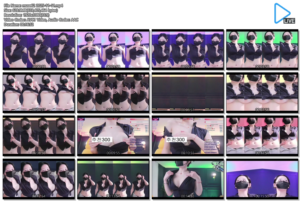 25.11.11 【빠진날】 혜지/뮤즈/채시아/갓lita/로즈쨈/츄정  6V모음 2.34G 미리보기 14