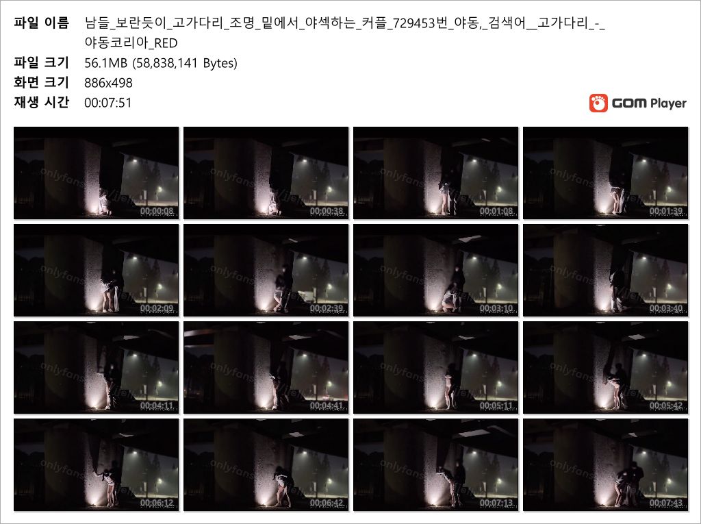 jjelly021a [온팬] 다리밑 야섹 미리보기 5