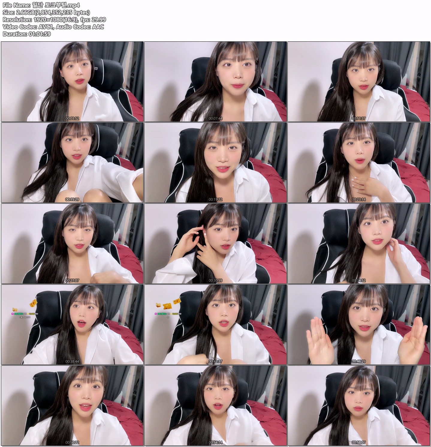 ⚡️타마먀⚡️치지직 14V 모음_17.5G 미리보기 12