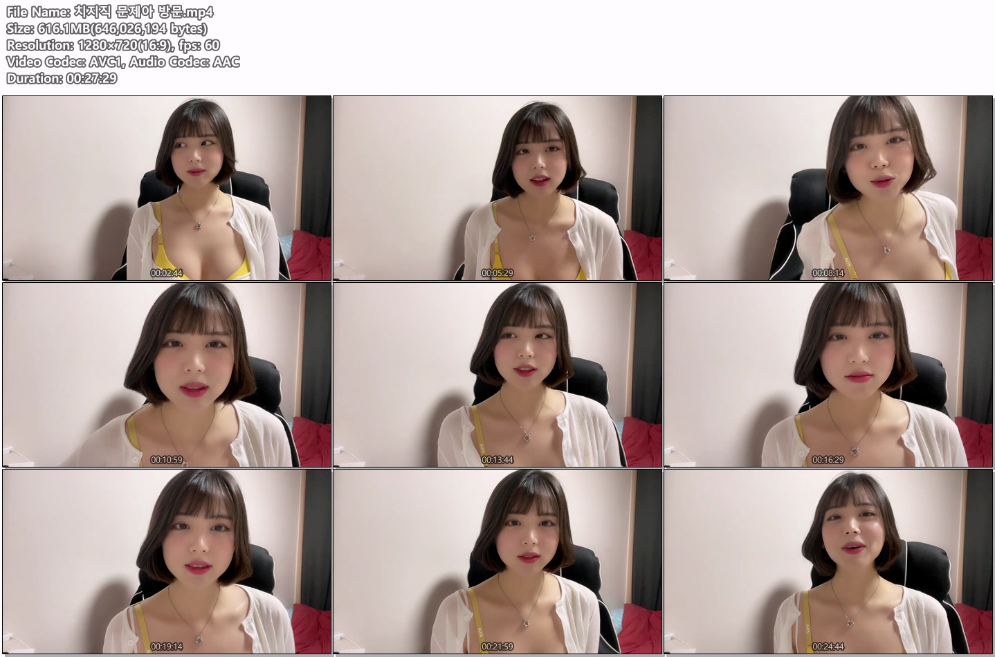 ⚡️타마먀⚡️치지직 14V 모음_17.5G 미리보기 17