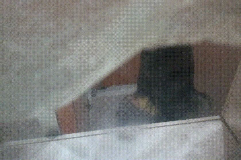 ✨찢어진 방충망 사이로 촬영 2V 미리보기 5