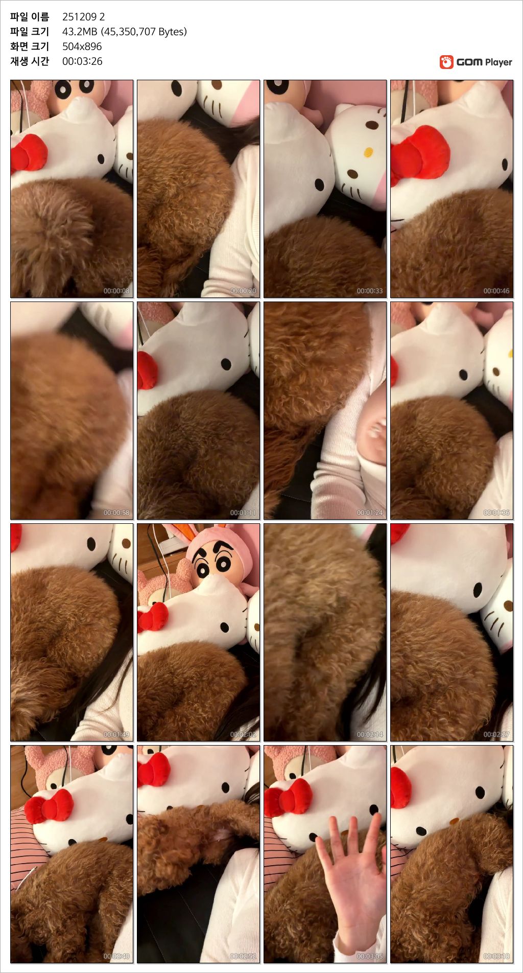 타마먀 25.12.09 방금자_인스타 라이브 클립 2V 미리보기 6