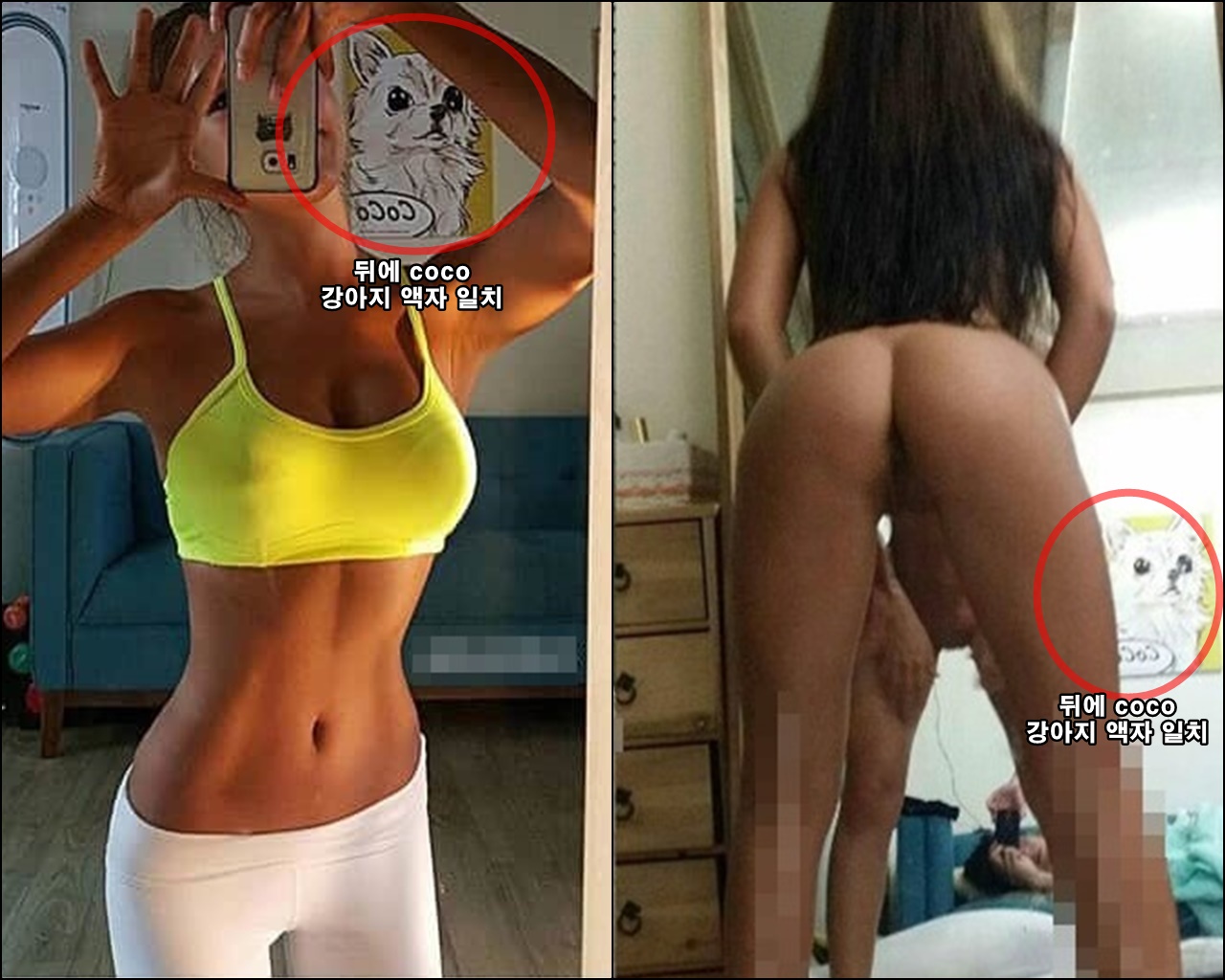 피트니스모텔 해나 [섹스유츌본] 1V.45P 증거사진 미리보기 3