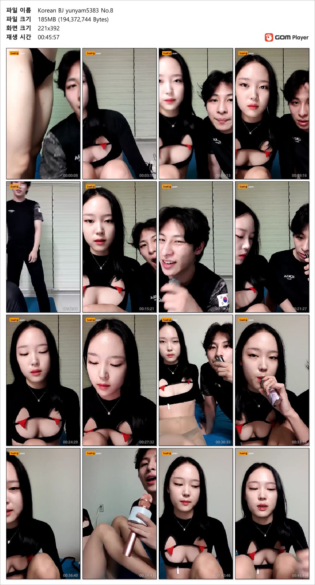 빛소리 ☆ yamyam5383 팬더 등 9V_6.14G 미리보기 20