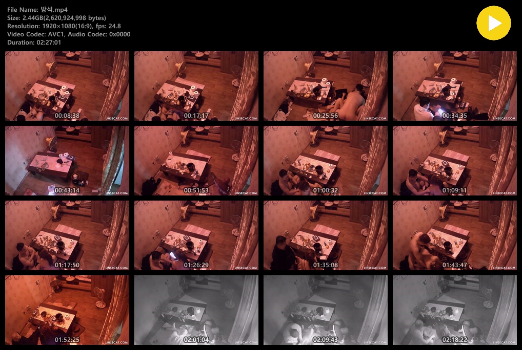 IP 방석집 [기존다른버젼] 2.44G 미리보기 4